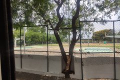 IMG_20230402_120655